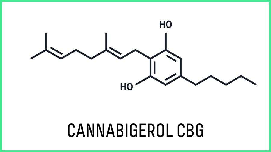 What is cannabigerol?